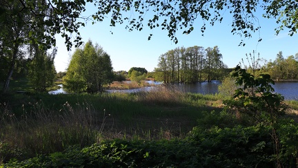 SJA Kværkeby Fugleservat